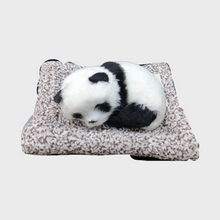 Panda Bear Car Decoration