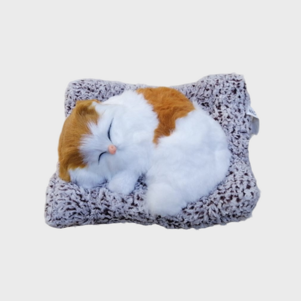 Sleeping Cat Car Decoration